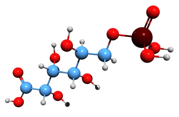 Εικόνα Σκελετικού Τύπου Φωσφογλυκονικού Οξέος Μοριακή Χημική Δομή Του Φωσφογλυκονικού — Φωτογραφία Αρχείου