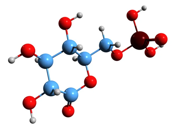 Imagen Fórmula Esquelética Fosfogluconolactona Estructura Química Molecular Intermedio Vía Pentosa — Foto de Stock