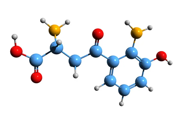 Aufnahme Der Hydroxykynurenin Skelettformel Molekulare Chemische Struktur Des Metaboliten Aus — Stockfoto