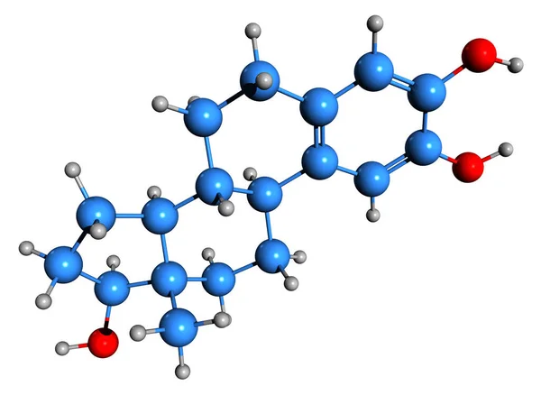 2-hidroksistradiol iskelet formülünün 3 boyutlu görüntüsü - beyaz arkaplanda 2-OHE2 izole moleküler kimyasal yapısı