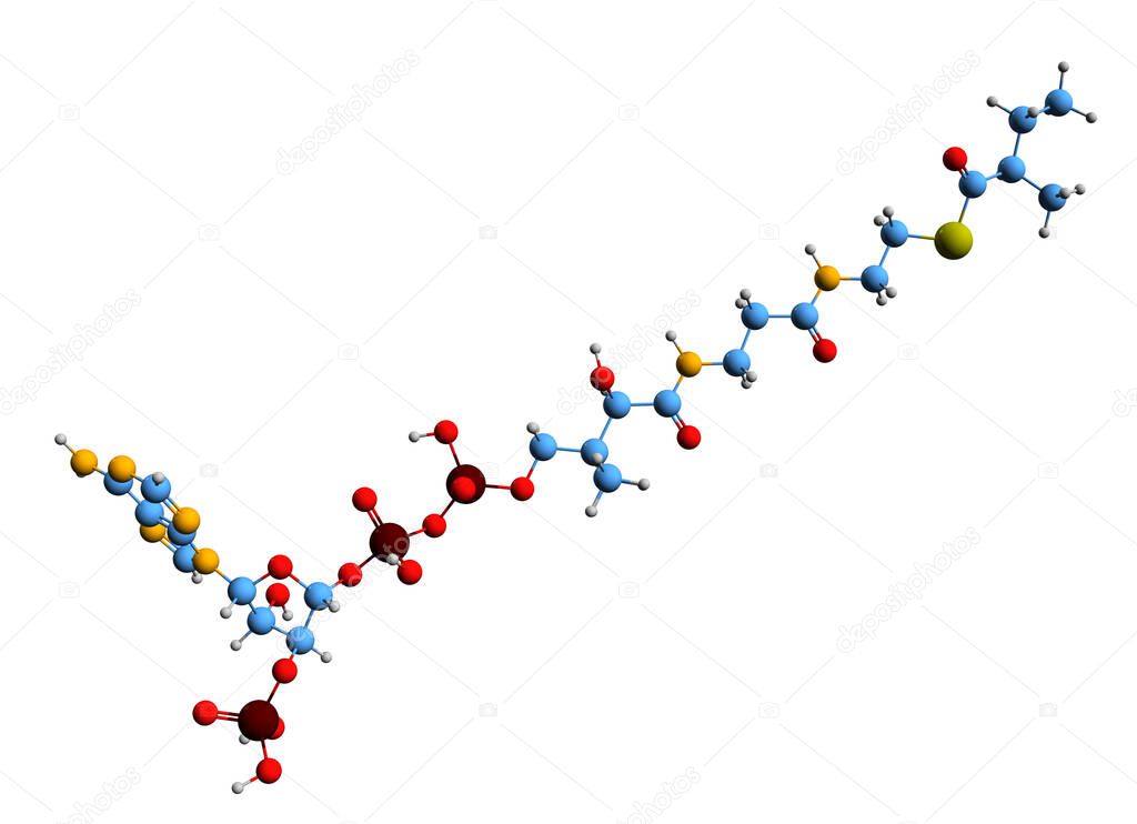 3D image of 2-Methylbutyryl-CoA skeletal formula - molecular chemical structure of metabolite methylbutanoyl-CoA isolated on white background