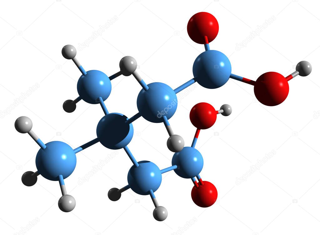 3D image of 3,3-Dimethylglutarate skeletal formula - molecular chemical structure of Pentanedioic acid isolated on white background