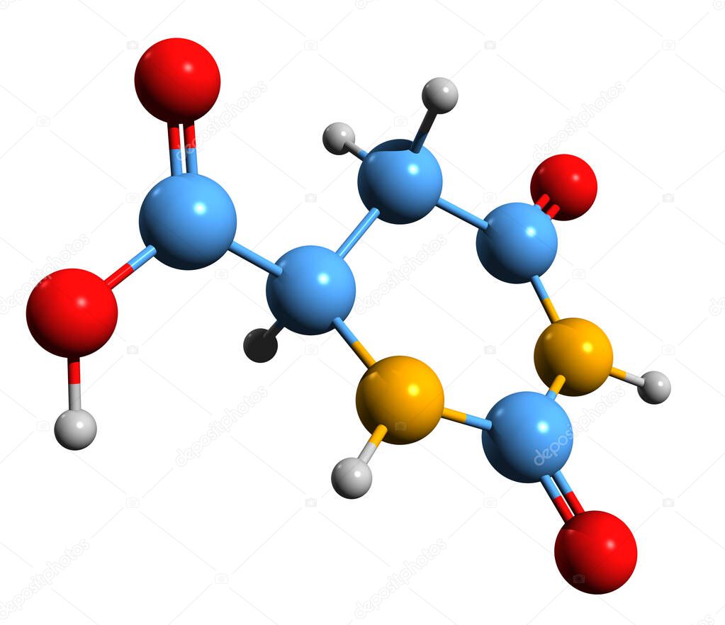 3D image of 4,5-Dihydroorotic acid skeletal formula - molecular chemical structure of intermediate in pyrimidine biosynthesis isolated on white background