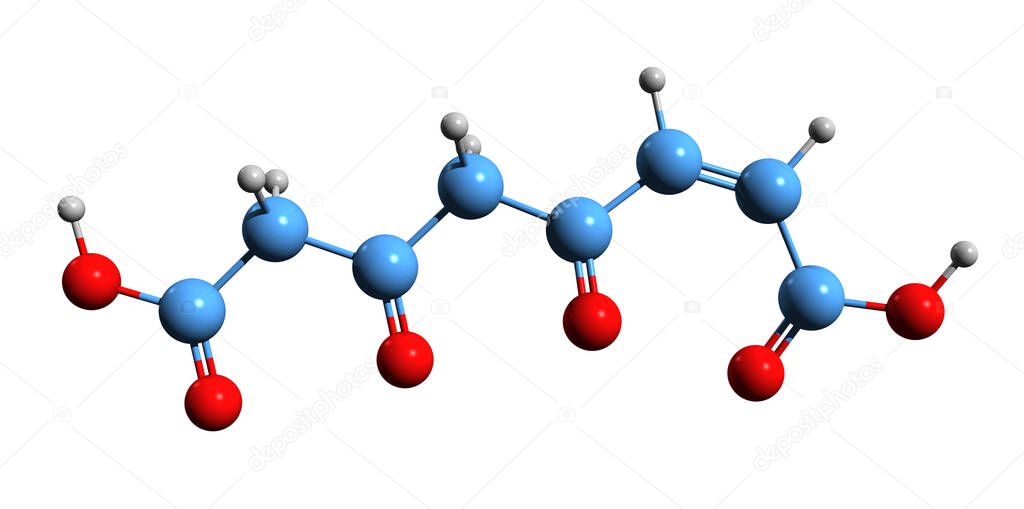 3D image of 4-Maleylacetoacetic acid skeletal formula - molecular chemical structure of 4-maleylacetoacetate isolated on white background