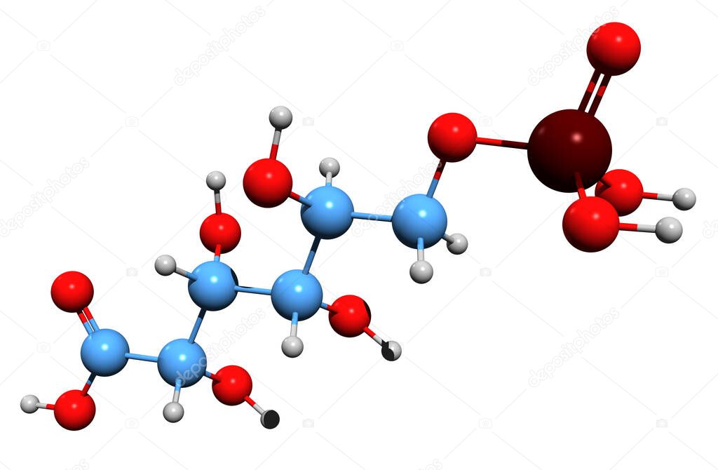 3D image of 6-Phosphogluconic acid skeletal formula - molecular chemical structure of 6-phosphogluconate isolated on white background