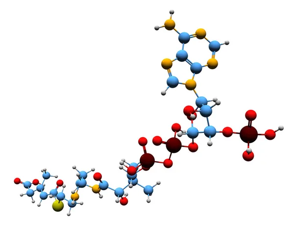 Imagen Fórmula Esquelética Metilglutaconil Coa Estructura Química Molecular Coa Aislada —  Fotos de Stock