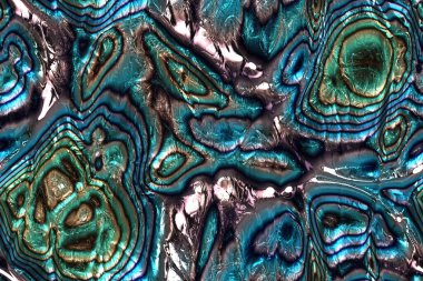 Geniş tekrarlanan deniz motoru deseni