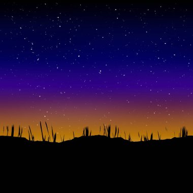 Çimenli siluet ve gece gökyüzü