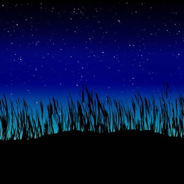 Çimenli siluet ve gece gökyüzü