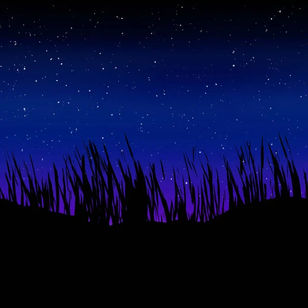 Травянистый Силуэт Ночное Звездное Небо — стоковое фото