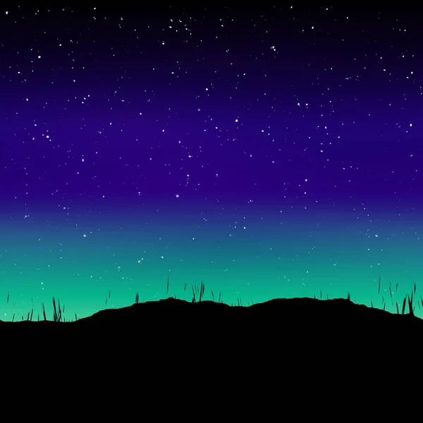 Травянистый Силуэт Ночное Небо — стоковое фото