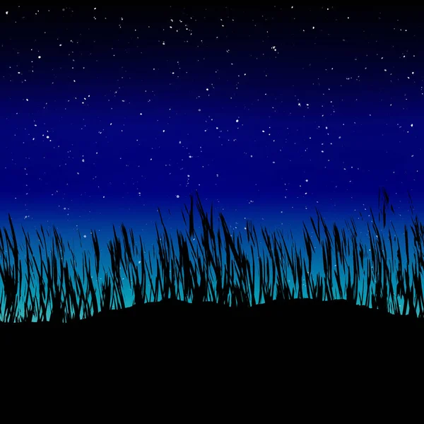 Травянистый Силуэт Ночное Небо — стоковое фото