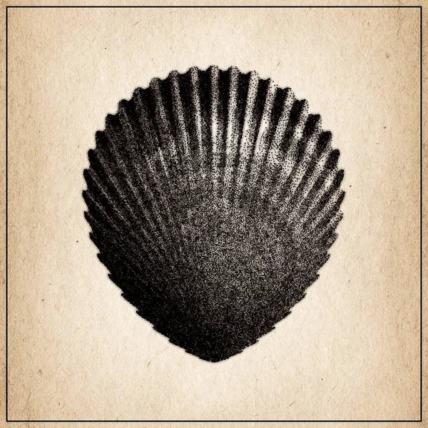 Scallop Shell Halftone Vintage Poster — Stock Photo, Image