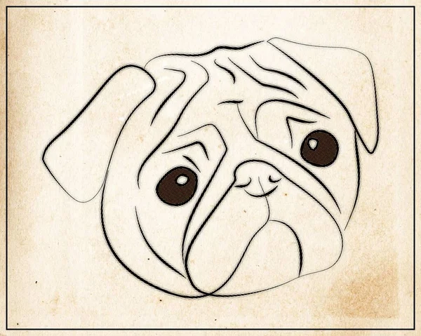 Sketch Pug Dog Face Half Tone Vintage Poster — 스톡 사진