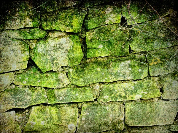 Green Mossy Masonry Grunge Vintage Photo — Stock Photo, Image