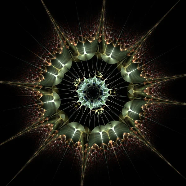 Inspección Haeckel Simetría Radial Protozoos Arte Fractal — Foto de Stock