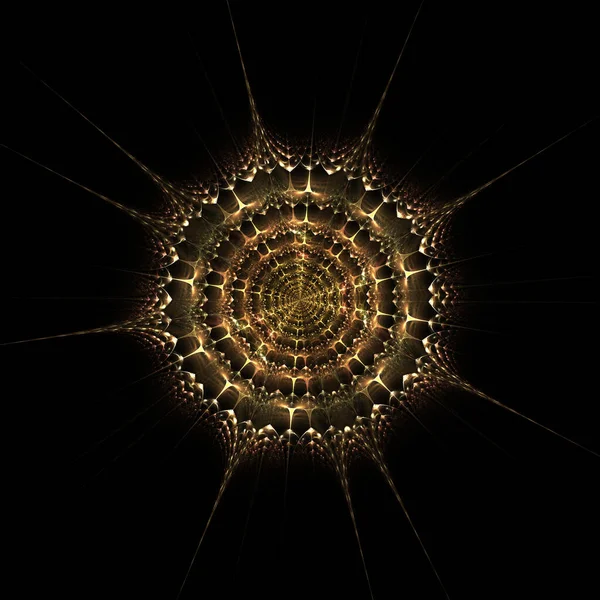 Haeckel Inspitation Radial Symmetry Protozoan Fractal Art — 스톡 사진