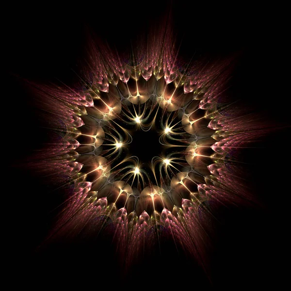Haeckel Inspitation Radial Symmetry Protozoan Fractal Art — Stock Photo, Image