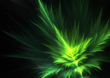 Fraktal PinNate Fern - Fraktal Sanat - 3B resim