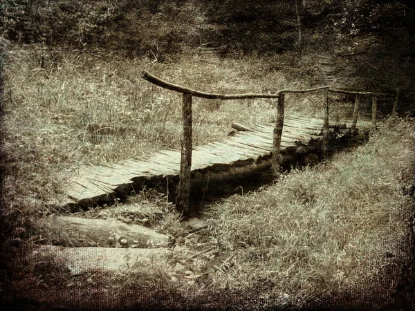 Old Wooden Bridge Forest Grunge Vintage Photo — Stock Photo, Image