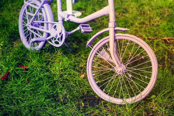 Bicicleta rosa vintage com cesta de flores — Fotografia de Stock