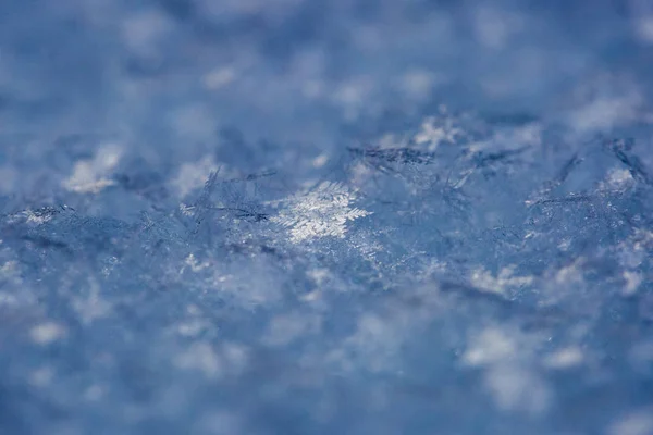 Sneeuwvlokken op een snowcover, close-up — Stockfoto