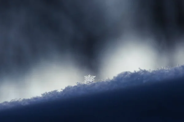 Lumihiutaleet lumipeitteessä, lähikuva — kuvapankkivalokuva