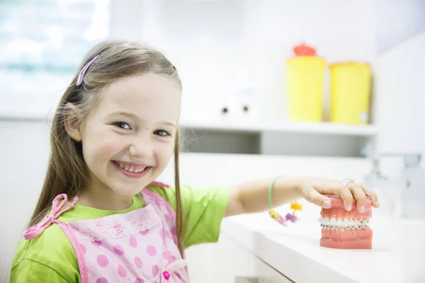 Meisje houden model van menselijke kaak met tandheelkundige accolades — Stockfoto