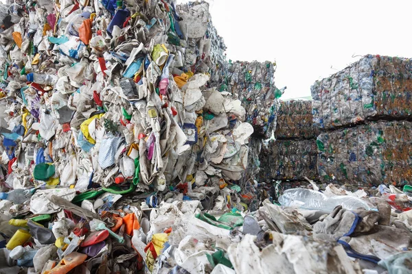 Sıralanmış plastik atık yığını — Stok fotoğraf