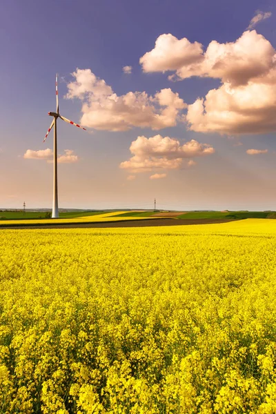 Ветряная электростанция с вращающейся ветряной турбиной — стоковое фото