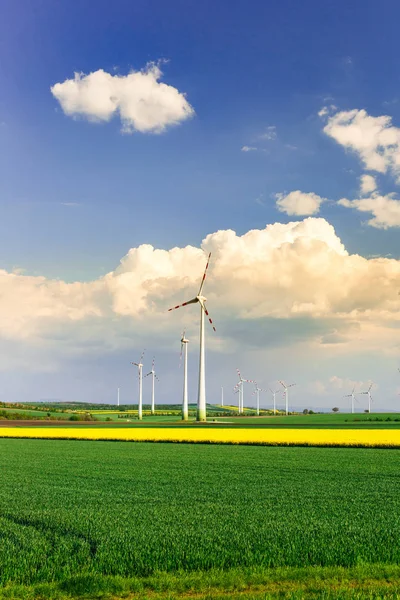 Větrná farma s rotující větrné turbíny — Stock fotografie