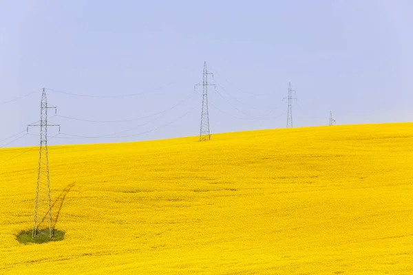 Lignes électriques sur des champs de colza colorés — Photo