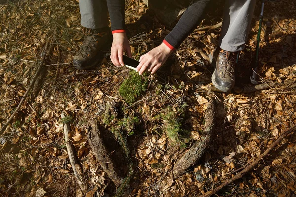 Hiker taking photographs on her hike through the woods — Stock Photo, Image