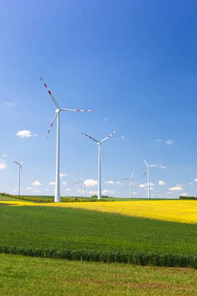 Ветряная электростанция с вращающимися ветряными турбинами — стоковое фото