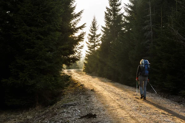 Mulher caminhante andando em uma estrada de montanha, sol brilhando — Fotografia de Stock