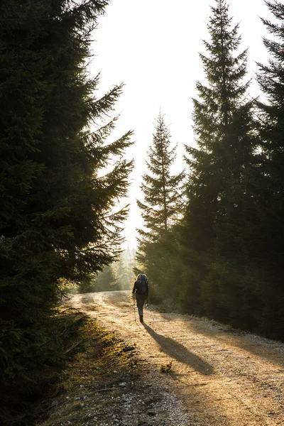 輝く太陽、山の道を歩いて女性ハイカー — ストック写真