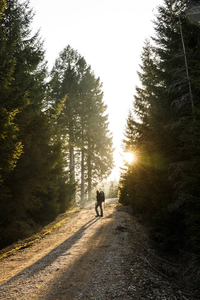 Mulher caminhante de pé em uma estrada de montanha, sol brilhando — Fotografia de Stock