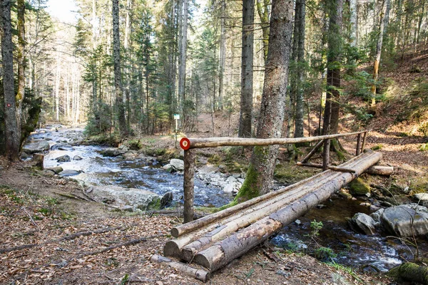 Lávka přes řeku čistý horský v lese — Stock fotografie