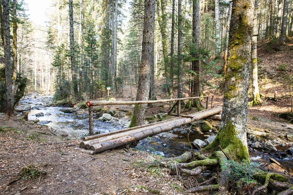 A tiszta hegyi folyó az erdő Footbridge — Stock Fotó