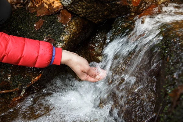 Szomjas természetjáró ivóvizet a kristálytiszta tavaszi — Stock Fotó