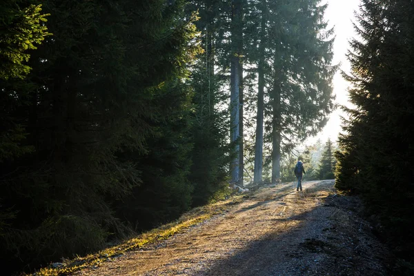 輝く太陽、山の道を歩いて女性ハイカー — ストック写真