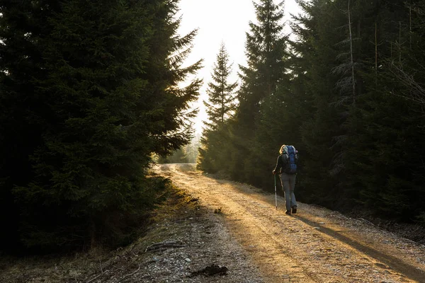 Woman hiker walking on a mountain road, sun shining Stock Photo