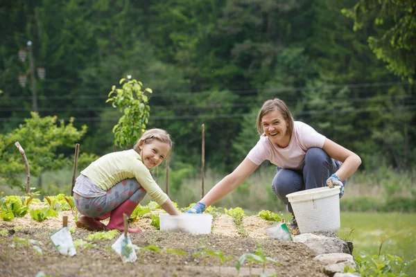 엄마와 딸 야채 정원에서 일하고 — 스톡 사진