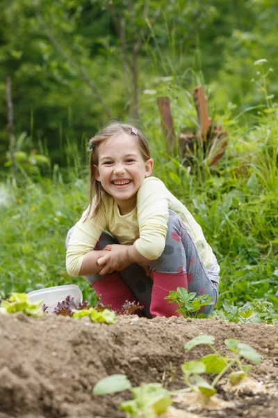 Маленька дівчинка працює в саду — стокове фото