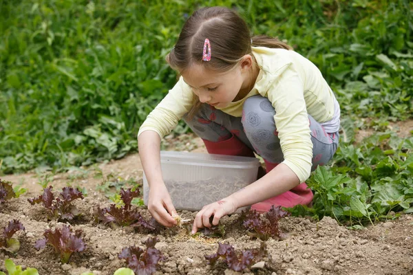 Kleines Mädchen arbeitet im Garten — Stockfoto