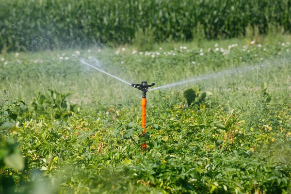 Système d'irrigation sur grand champ de pommes de terre — Photo