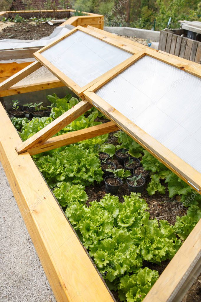 Homemade greenhouse raised garden bed