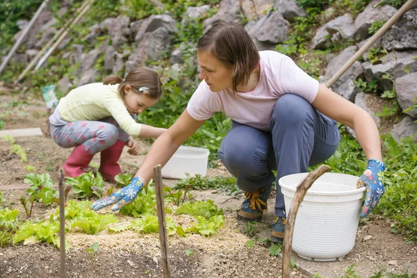 Ibu dan anak bekerja di kebun sayuran — Stok Foto