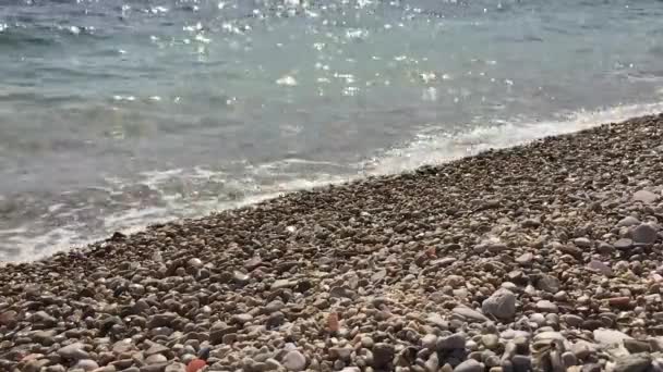 Adria Brandung Meereswellen Laufen Auf Küstennahen Kiesel — Stockvideo