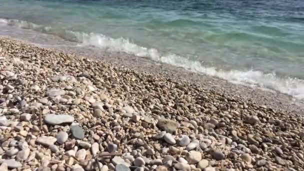 Mare Adriatico Surf Onde Marine Corrono Ciottoli Costieri — Video Stock